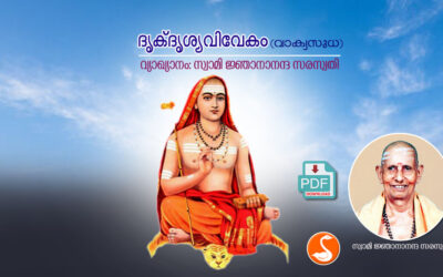 ദൃക്ദൃശ്യവിവേകം അഥവാ വാക്യസുധ PDF