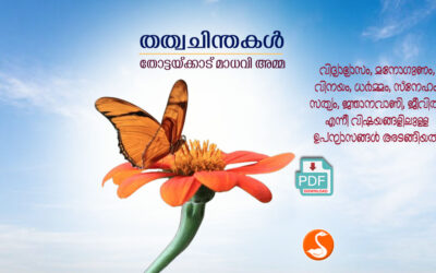തത്ത്വചിന്തകള്‍ PDF